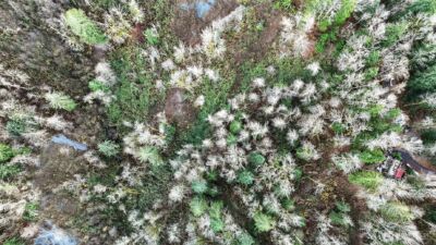 0 00381300002900 , Gold Bar, WA 98251 - Photo 18