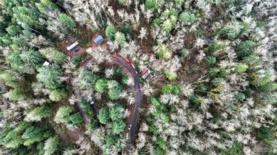 0 00381300002900 , Gold Bar, WA 98251 - Photo 20