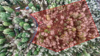 0 00381300002900 , Gold Bar, WA 98251 - Photo 2