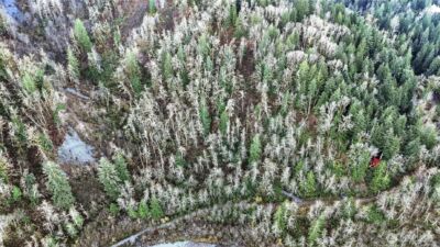 0 00381300002900 , Gold Bar, WA 98251 - Photo 8