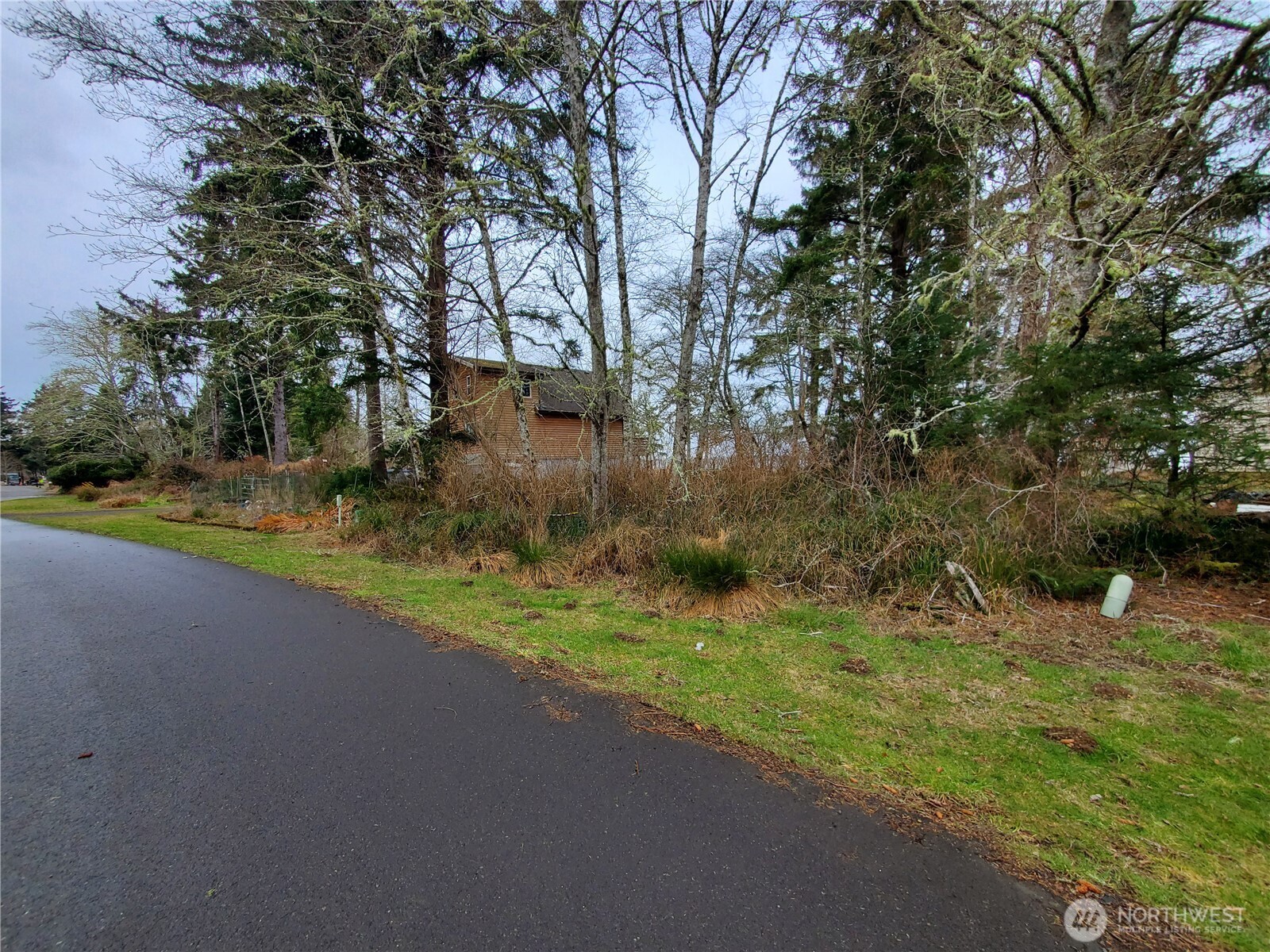 816 Duck lake Drive NE, Ocean Shores, WA 98569
