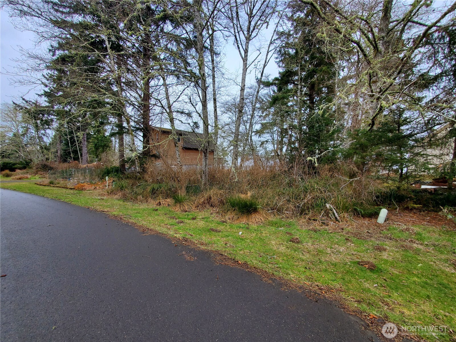 816 Duck lake Drive NE, Ocean Shores, WA 98569