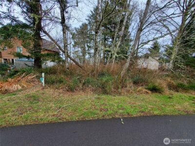 816 Duck lake Drive NE, Ocean Shores, WA 98569 - Photo 10