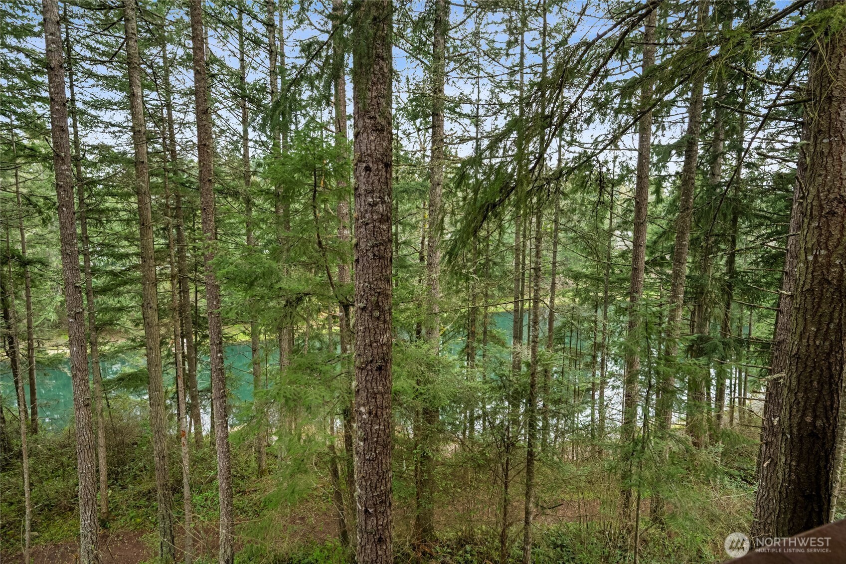 17631 Clear Lake Boulevard SE, Yelm, WA 98597