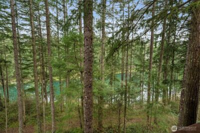 17631 Clear Lake Boulevard SE, Yelm, WA 98597 - Photo 29
