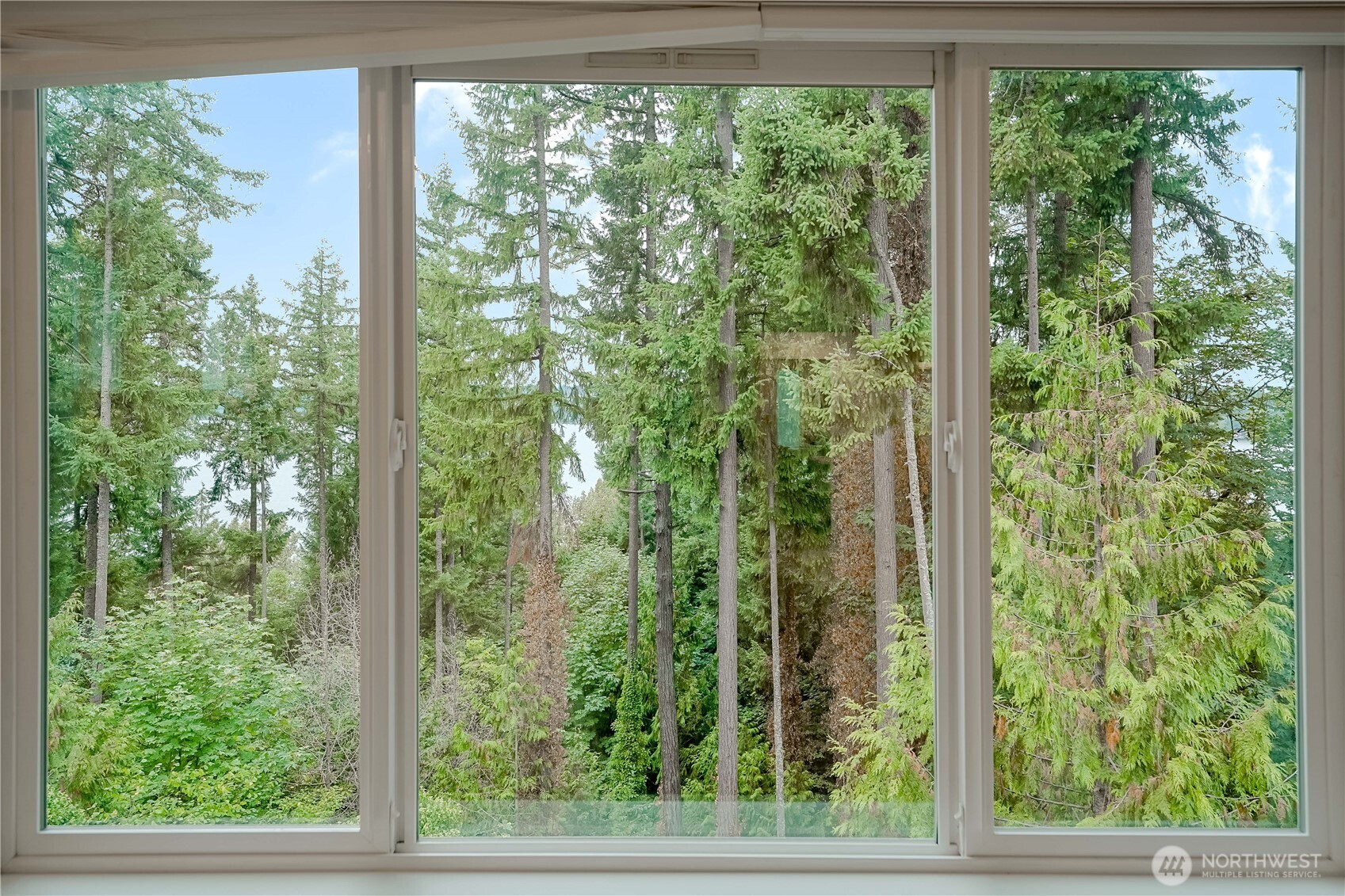 825 206th Avenue NE, Sammamish, WA 98074-6651