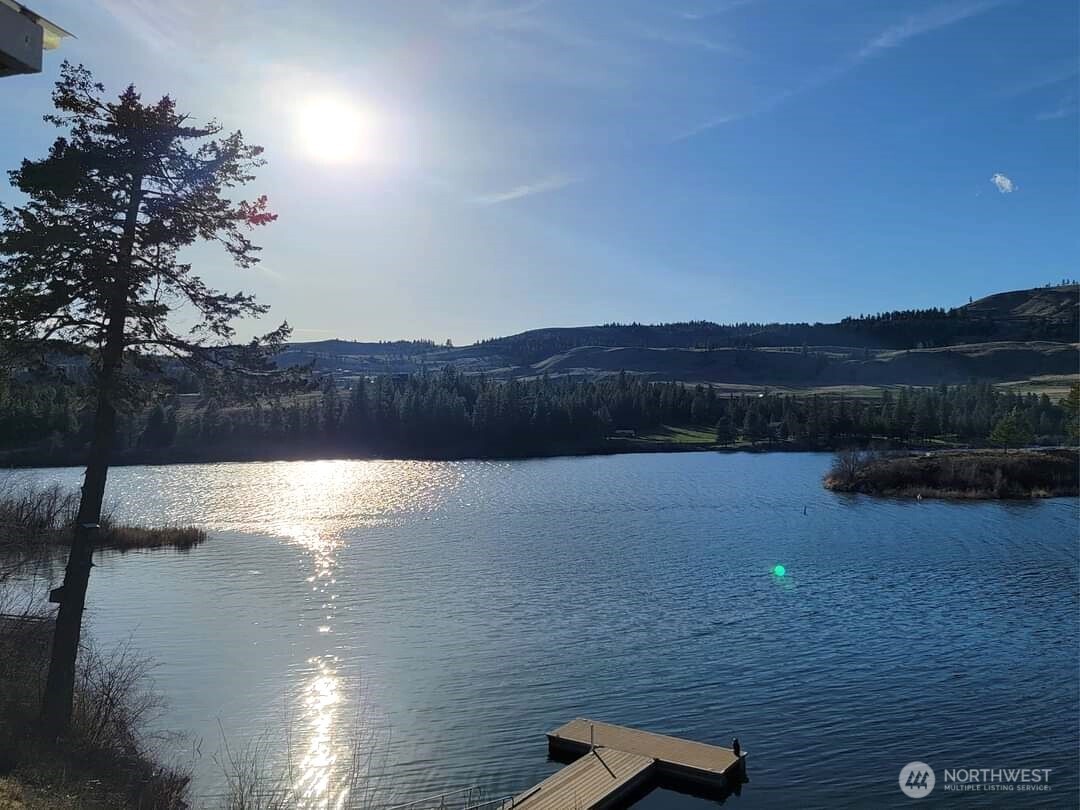 7 Bremner Lane , Republic, WA 99166