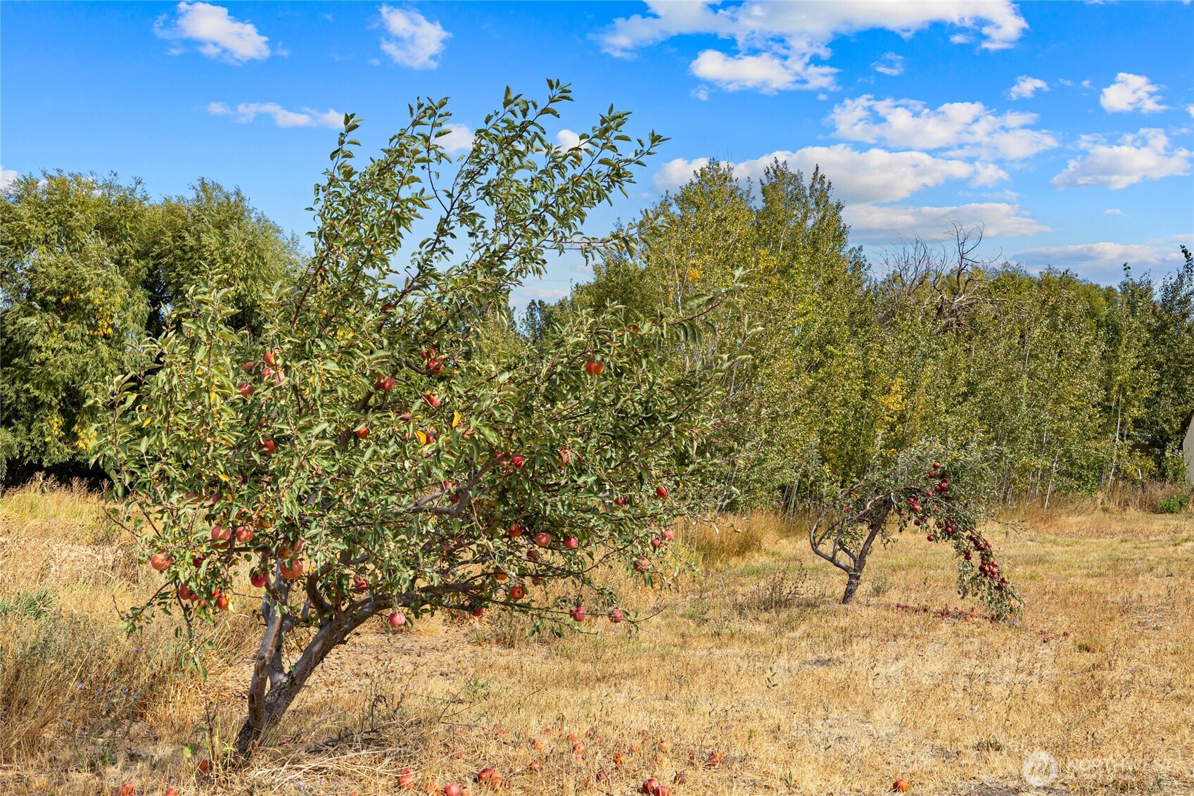 243 Winter Creek Lane , Ellensburg, WA 98926