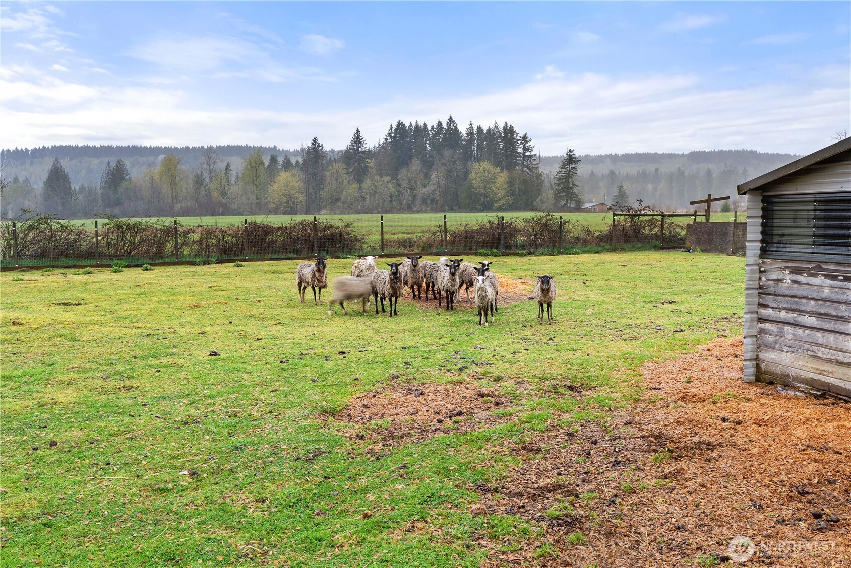 164 Quiet Acres Drive , Onalaska, WA 98570