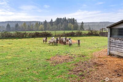 164 Quiet Acres Drive , Onalaska, WA 98570 - Photo 31