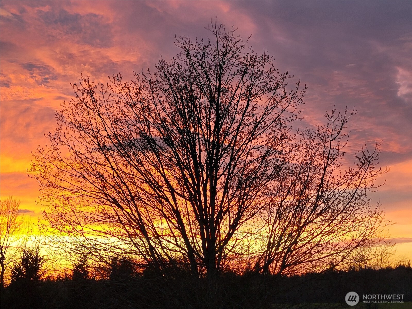 164 Quiet Acres Drive , Onalaska, WA 98570