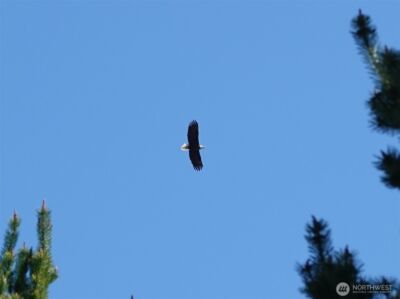 574 Chinook Avenue SE, Ocean Shores, WA 98569 - Photo 18