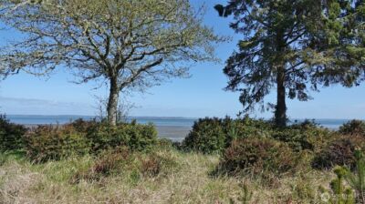 574 Chinook Avenue SE, Ocean Shores, WA 98569 - Photo 4