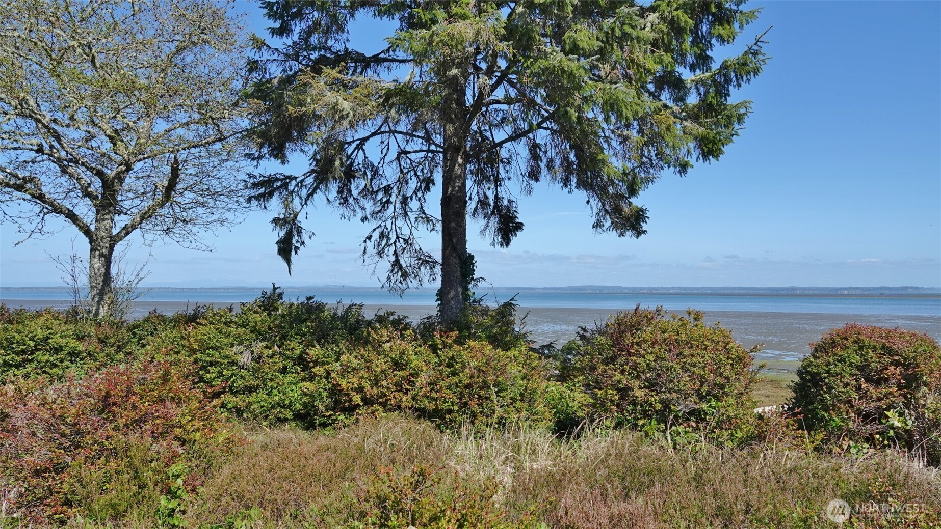 574 Chinook Avenue SE, Ocean Shores, WA 98569