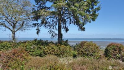 574 Chinook Avenue SE, Ocean Shores, WA 98569 - Photo 5