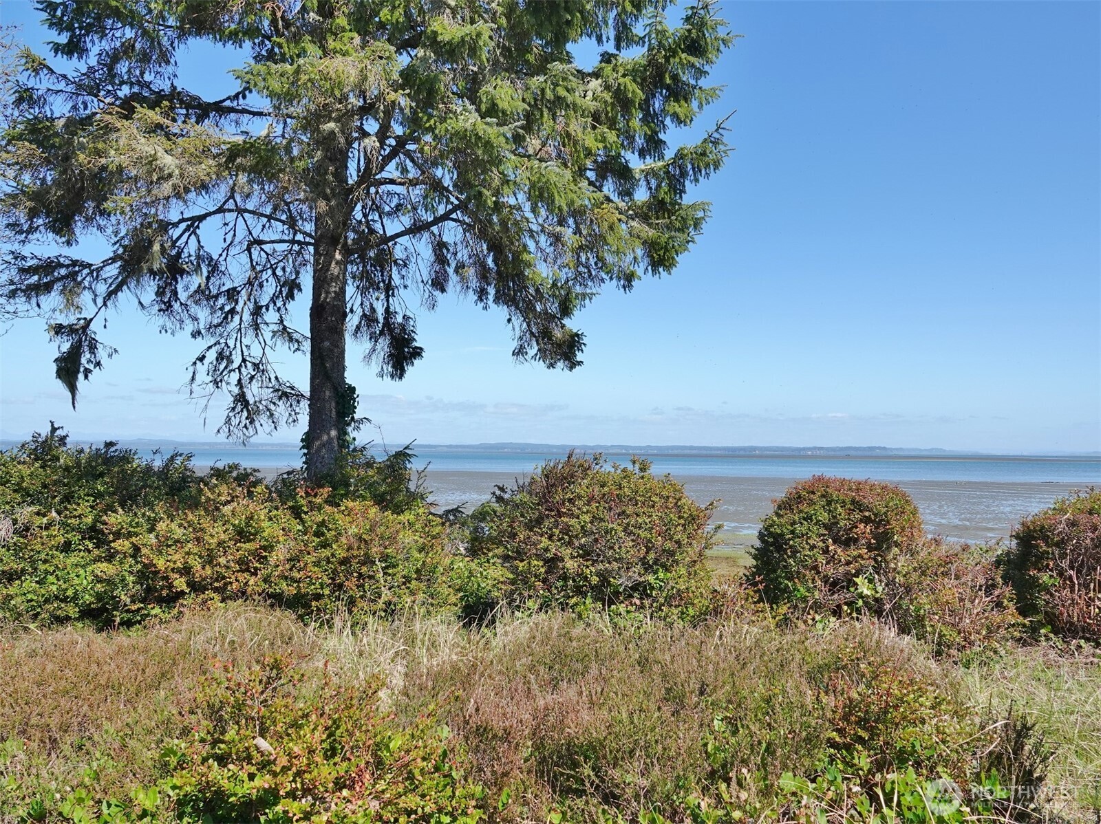 574 Chinook Avenue SE, Ocean Shores, WA 98569