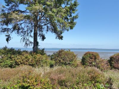 574 Chinook Avenue SE, Ocean Shores, WA 98569 - Photo 6