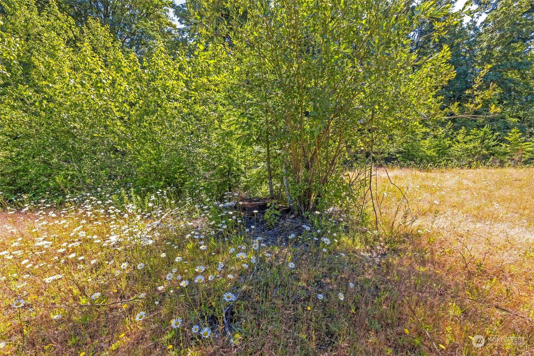 2153 Bethel Ave , Port Orchard, WA 98366