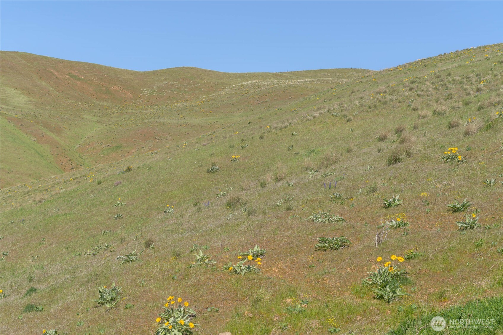 519 Diede Hills Lane , Wenatchee, WA 98801