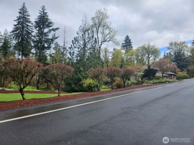 25216 238th Avenue SE, Maple Valley, WA 98038 - Photo 30
