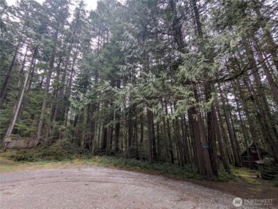 66 Skagit Way , Marblemount, WA 98267