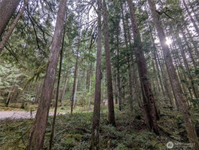 66 Skagit Way , Marblemount, WA 98267 - Photo 3