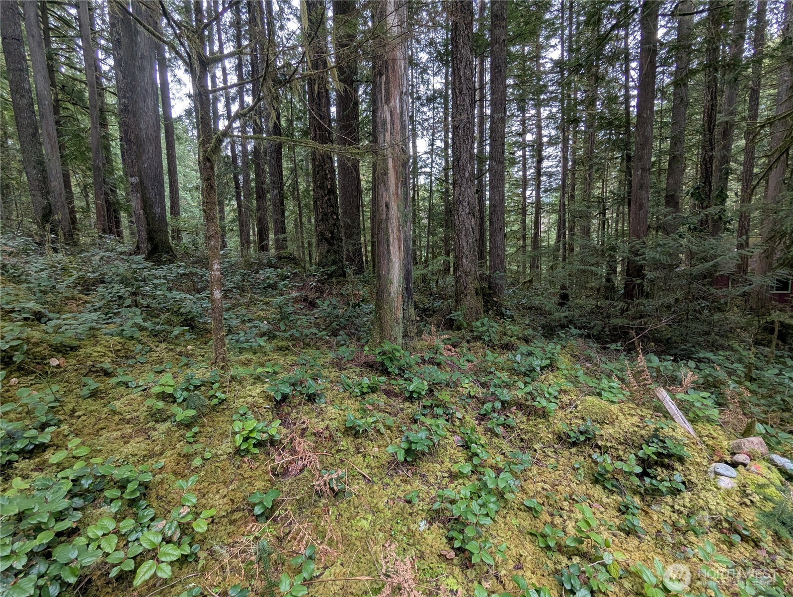 66 Skagit Way , Marblemount, WA 98267