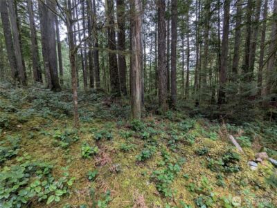 66 Skagit Way , Marblemount, WA 98267 - Photo 4