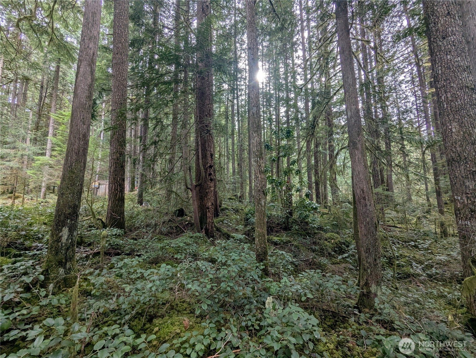 66 Skagit Way , Marblemount, WA 98267