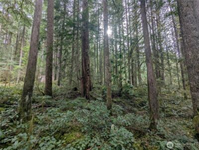 66 Skagit Way , Marblemount, WA 98267 - Photo 5