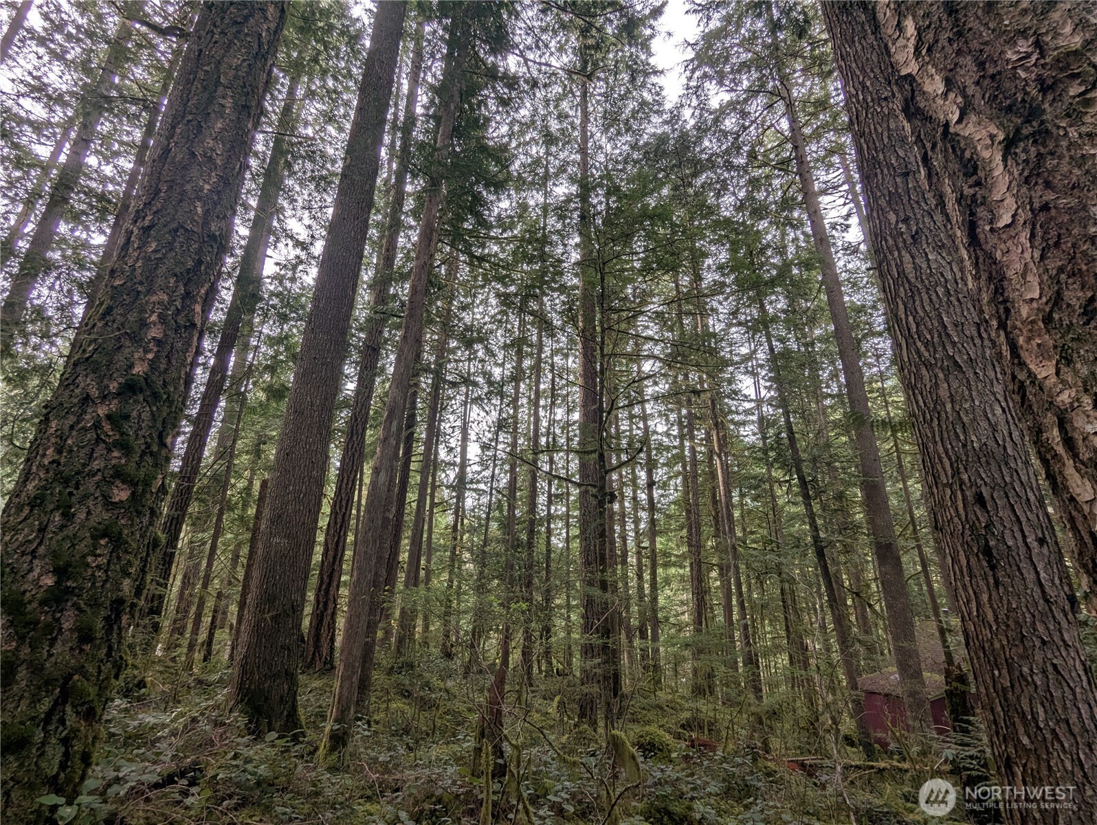 66 Skagit Way , Marblemount, WA 98267