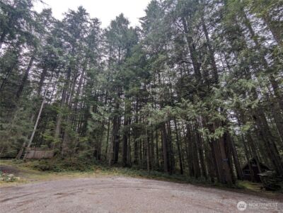 66 Skagit Way , Marblemount, WA 98267 - Photo 9