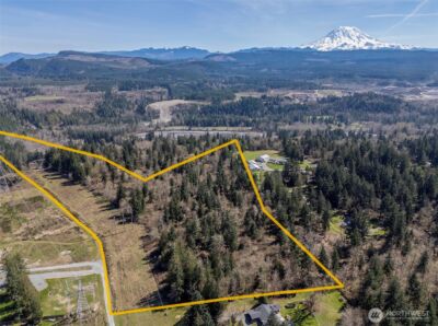 0 XXX 243rd Street E, Graham, WA 98338 - Photo 4
