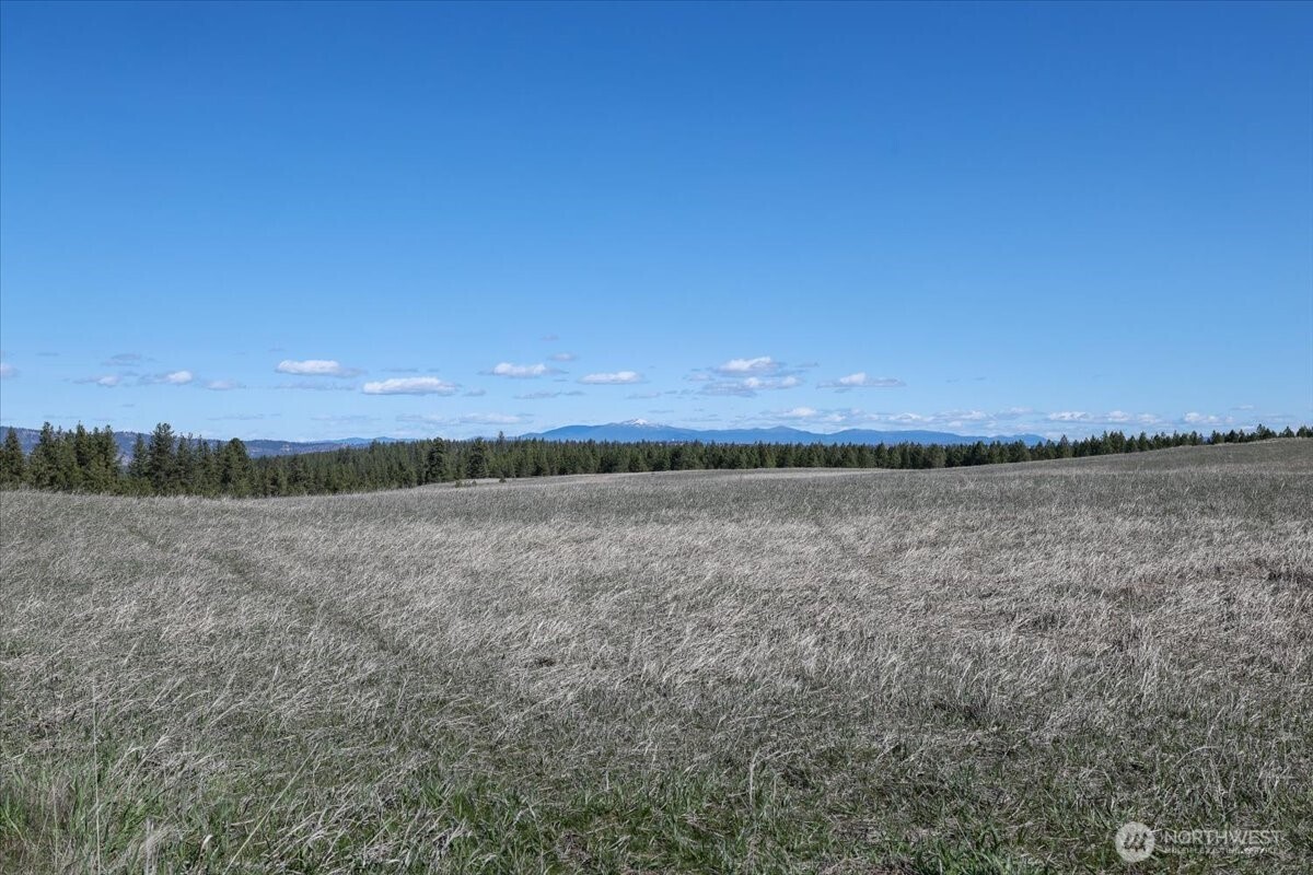 0 TBD N Hayford Road , Spokane, WA 99224