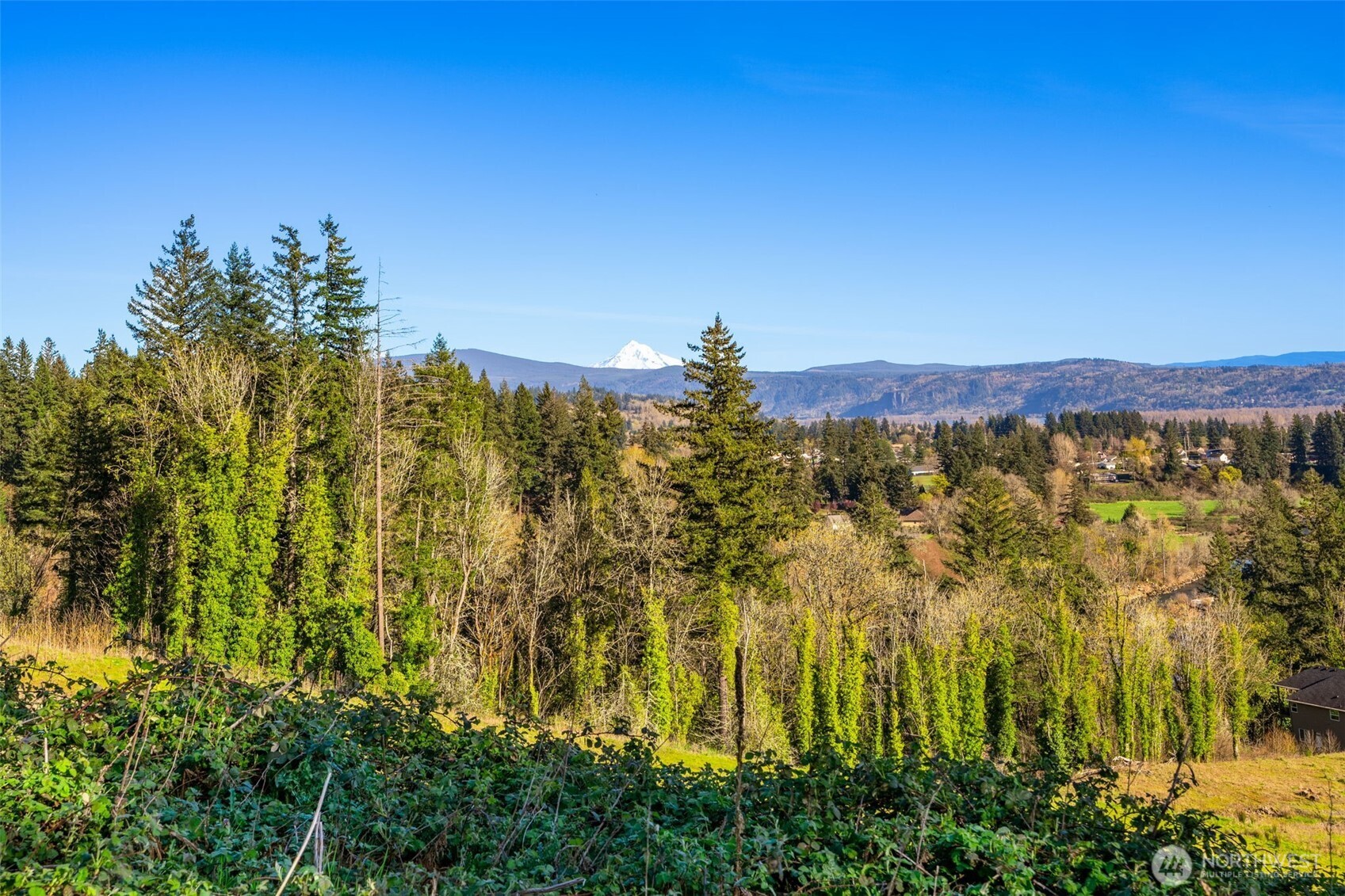 0 Green View Estates 2 , Washougal, WA 98671