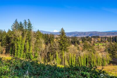 0 Green View Estates 2 , Washougal, WA 98671 - Photo 18