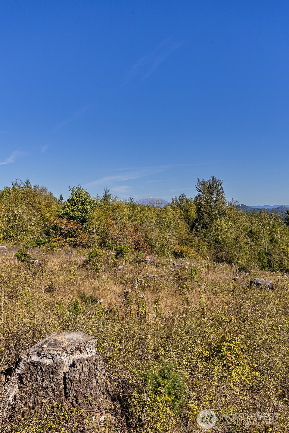 31807 NE 122nd Avenue , Battle Ground, WA 98604
