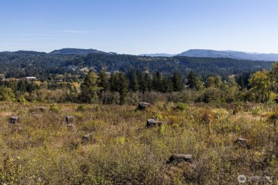 31807 NE 122nd Avenue , Battle Ground, WA 98604 - Photo 20