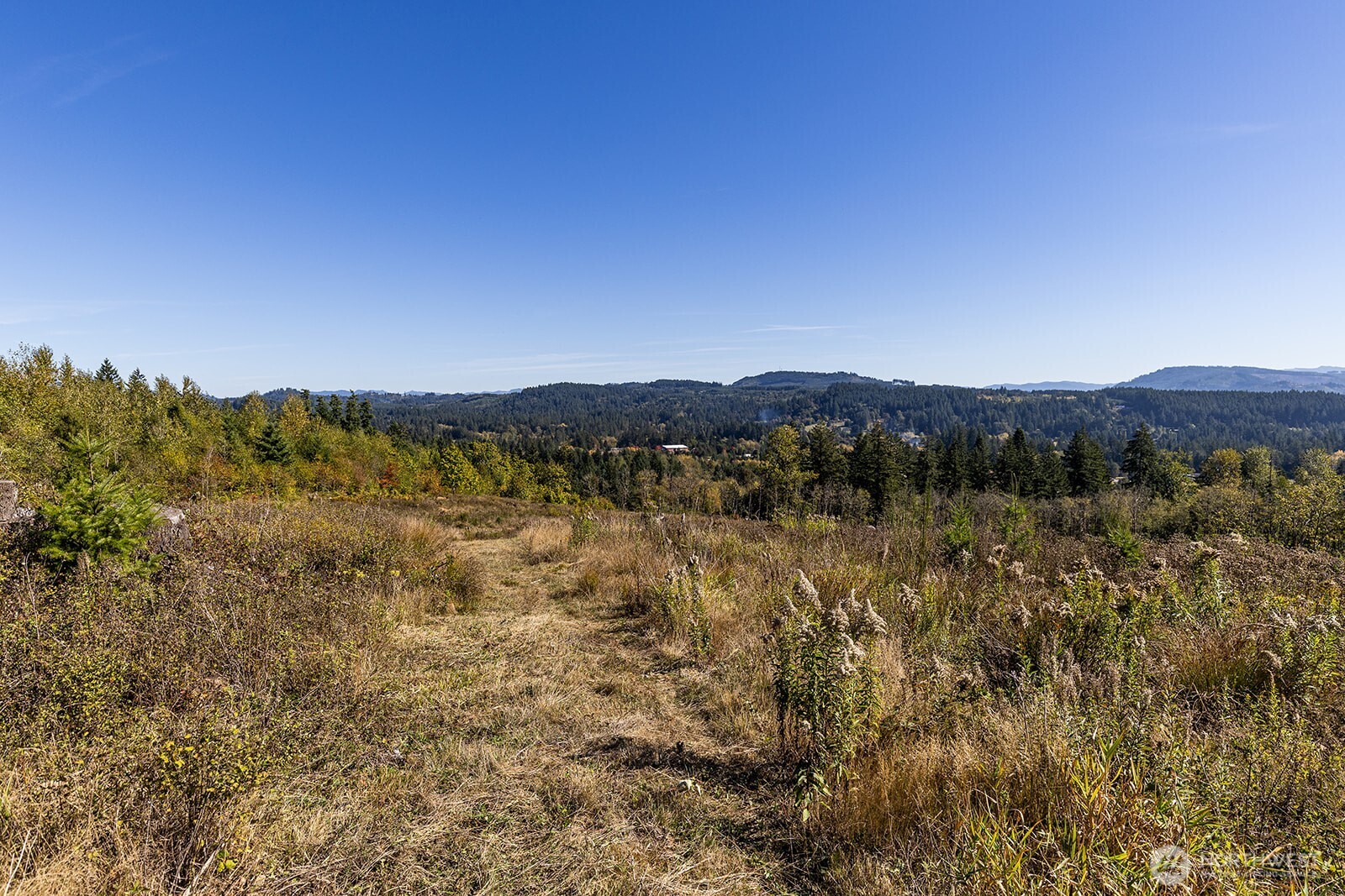31807 NE 122nd Avenue , Battle Ground, WA 98604