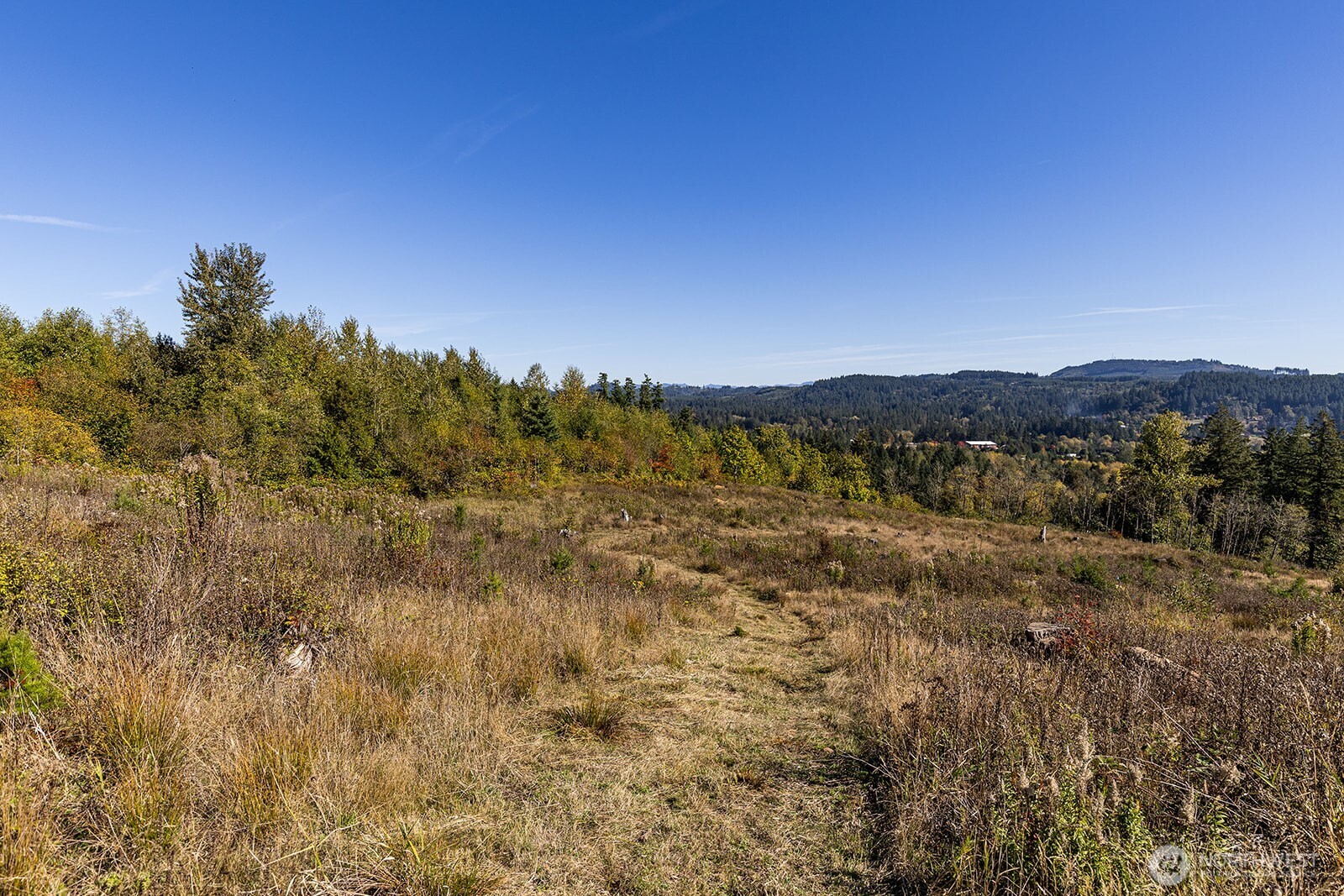 31807 NE 122nd Avenue , Battle Ground, WA 98604