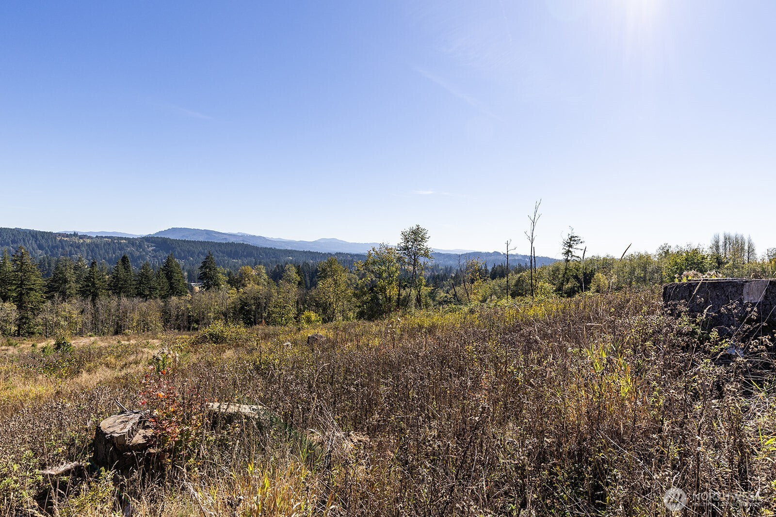 31807 NE 122nd Avenue , Battle Ground, WA 98604