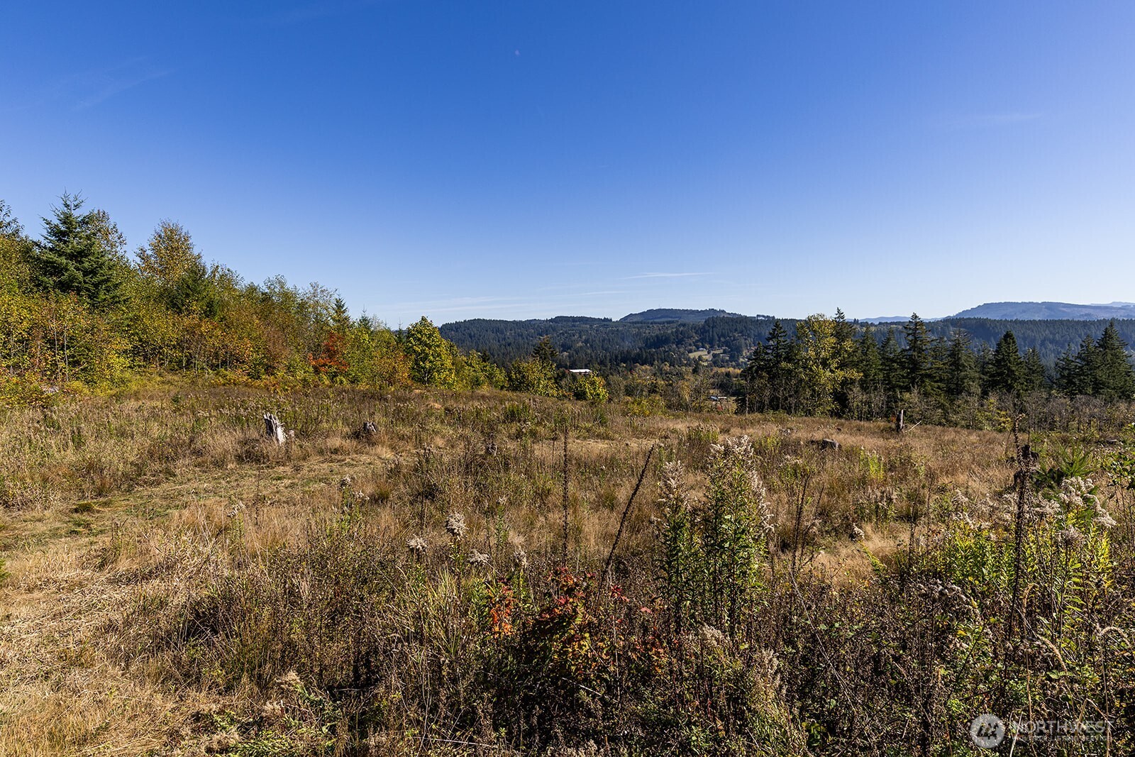 31807 NE 122nd Avenue , Battle Ground, WA 98604