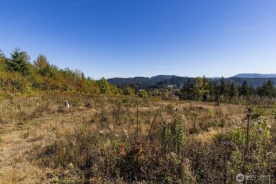 31807 NE 122nd Avenue , Battle Ground, WA 98604 - Photo 24