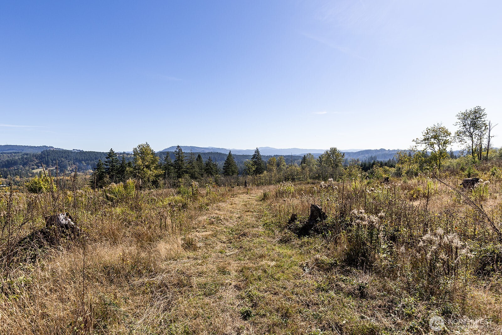 31807 NE 122nd Avenue , Battle Ground, WA 98604