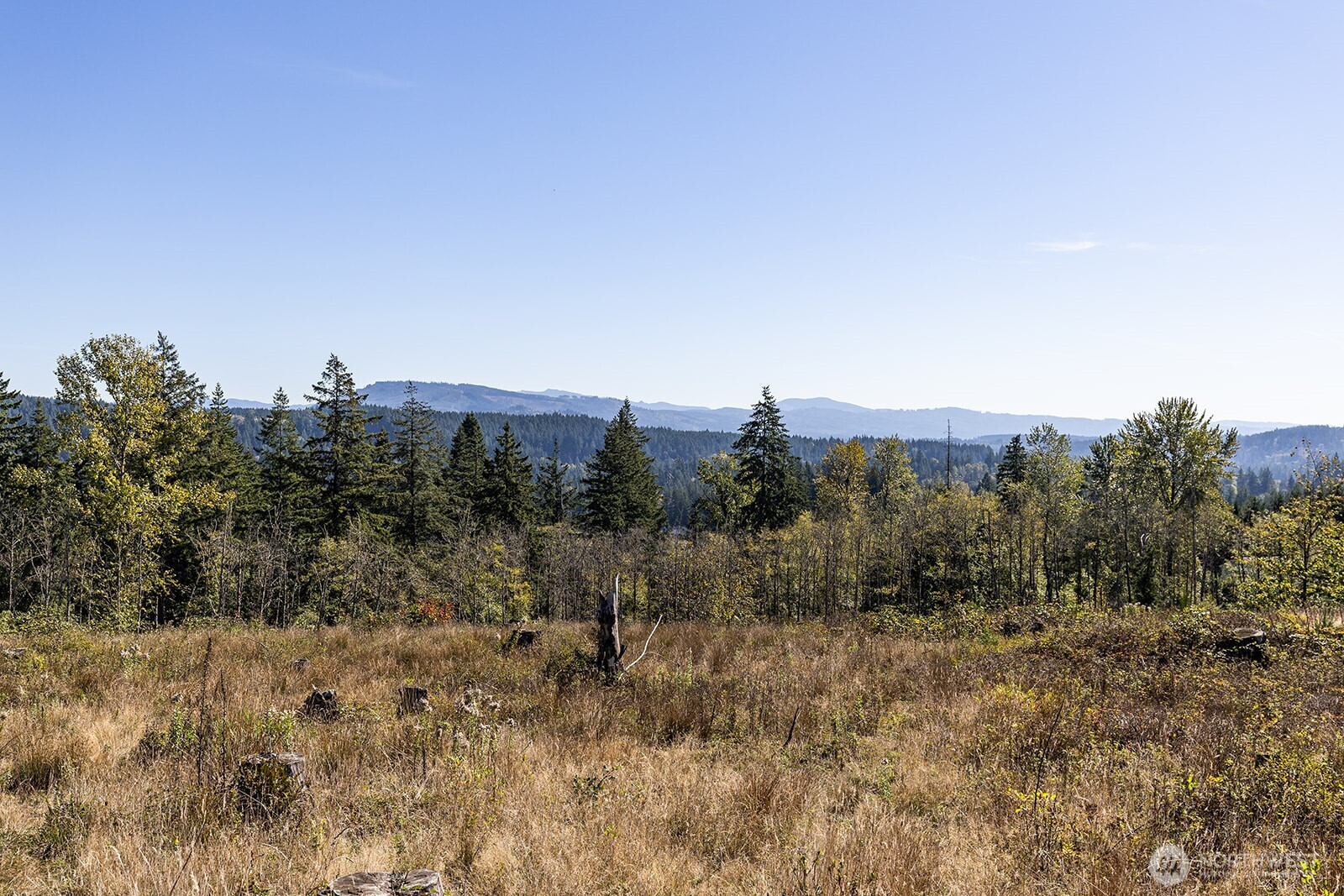 31807 NE 122nd Avenue , Battle Ground, WA 98604