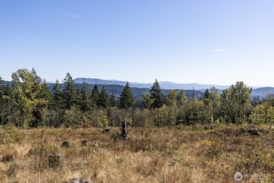 31807 NE 122nd Avenue , Battle Ground, WA 98604 - Photo 26