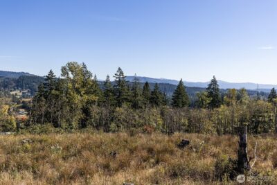 31807 NE 122nd Avenue , Battle Ground, WA 98604 - Photo 27