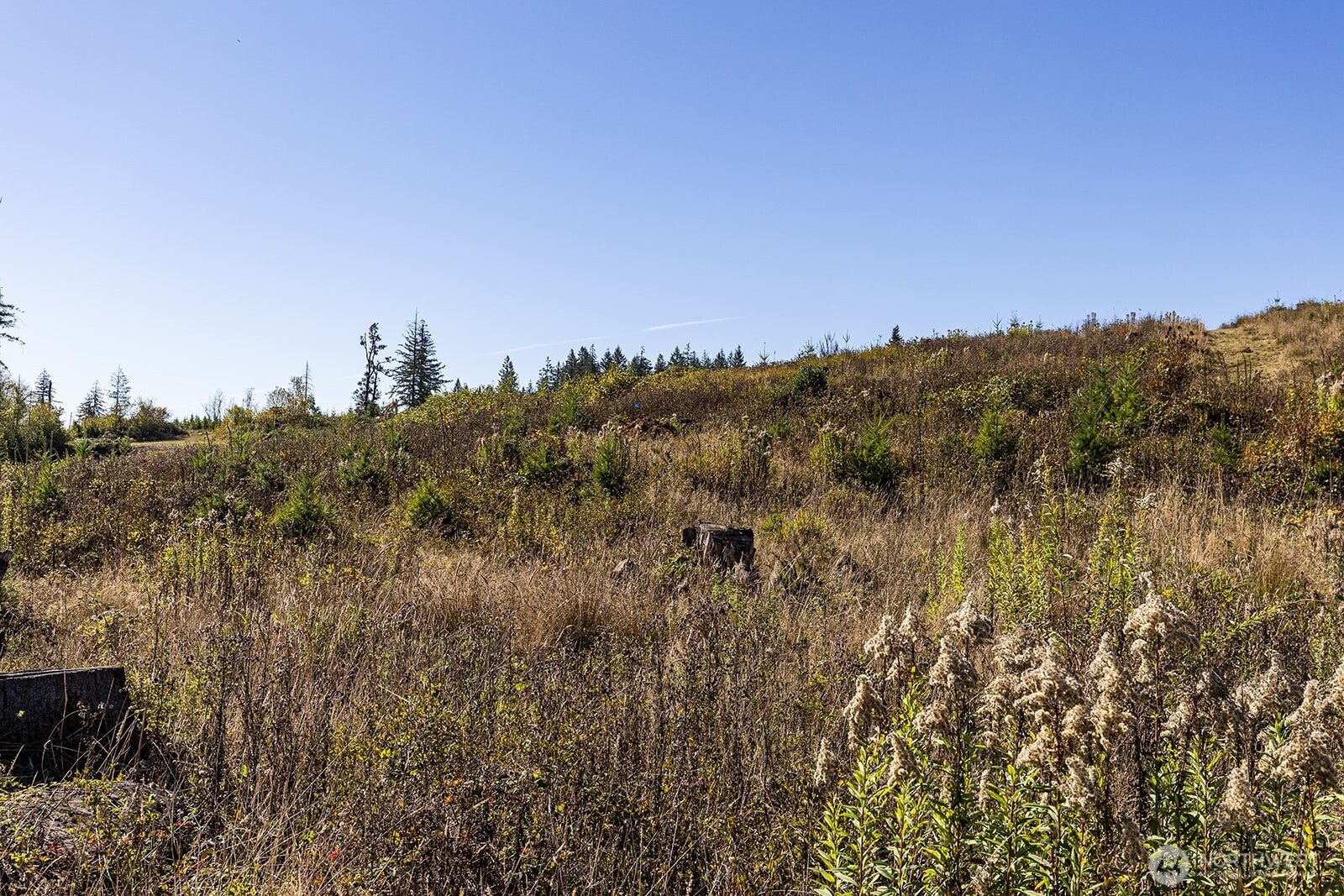 31807 NE 122nd Avenue , Battle Ground, WA 98604
