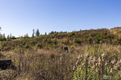 31807 NE 122nd Avenue , Battle Ground, WA 98604 - Photo 30