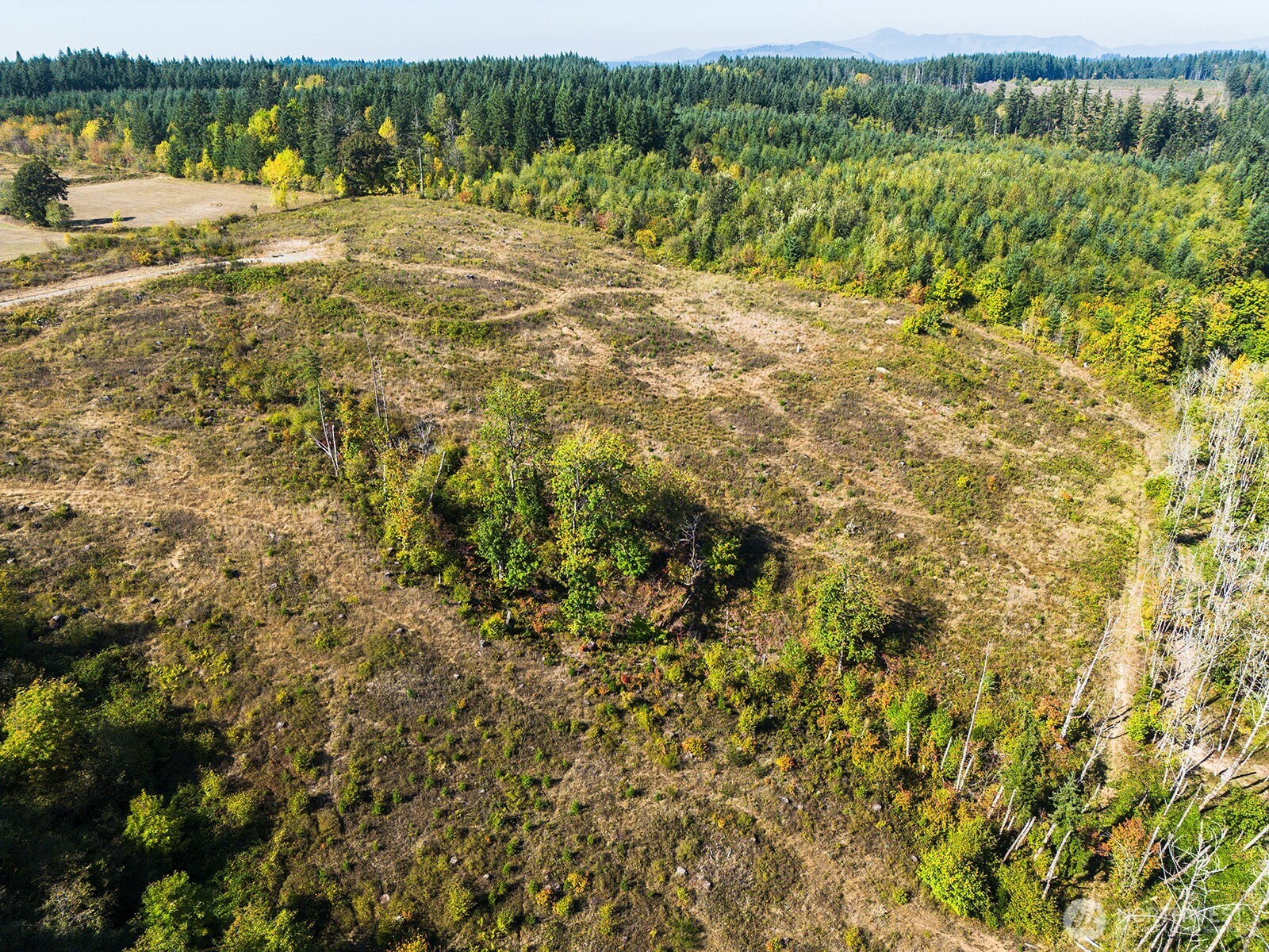 31807 NE 122nd Avenue , Battle Ground, WA 98604